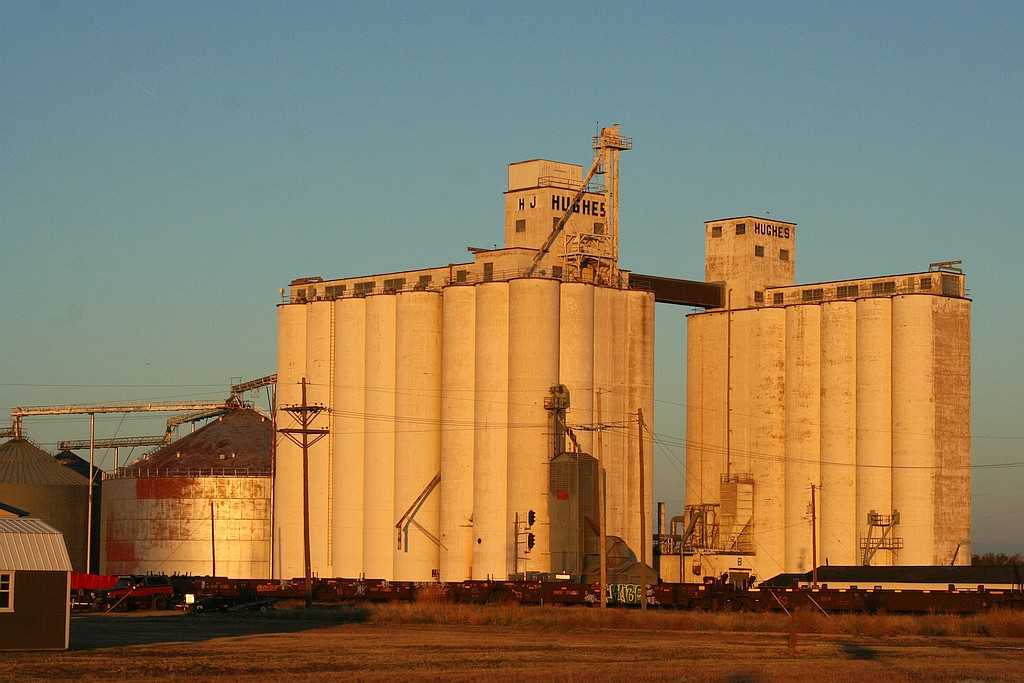 Grain plant